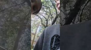 Сашка_Чашка