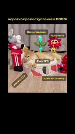 #поступление2025 #вуз #результатыегэ #ЕГЭ2026 #егэрусский #Фоксфорд