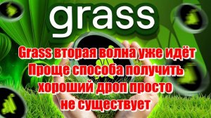 GRASS НЕ УПУСТИ ВОЗМОЖНОСТЬ ЗАБРАТЬ САМЫЙ ЛЁГКИЙ AIRDROP КРИПТОВАЛЮТЫ в 2025 ГОДУ