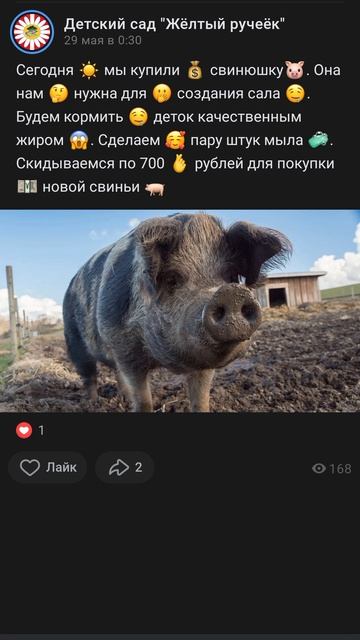 жëлтый ручеëк 95