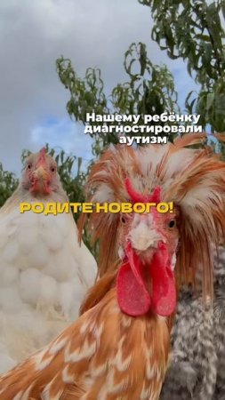 А какие токсичные фразы говорили вам? #аутизм #рас #особыедети #особенностиразвития #токсичныелюди