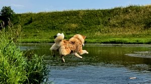 В пекло на речку