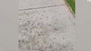 НАРЕЗКА ВИДЕО ПРИКОЛОВ СМОТРЕТЬ СМЕШНЫЕ ВИДЕО ПРИКОЛЫ НАРЕЗКА ПРИКОЛОВ 2025