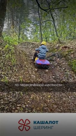 БИЗНЕС НА ЭЛЕКТРОСНЕГОКАТАХ ОКУПАЕТСЯ ЗА СЕЗОН#бизнесидеи #бизнесснуля #бизнес #прибыльныйбизнес