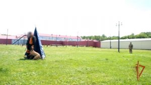 Первенство по многоборью кинологов Восточного округа Росгвардии состоялось в Хабаровске