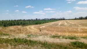 Оплата за проезд