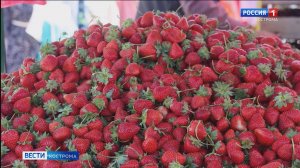 Служба контроля качества проверила клубнику, которой торгуют в Костроме