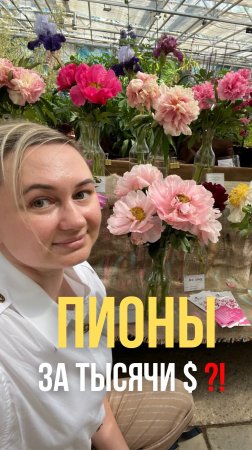 Пионы за тысячи долларов