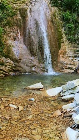 ящерица и водопад Хвост Дрозда #природа #поход #широкаящель
