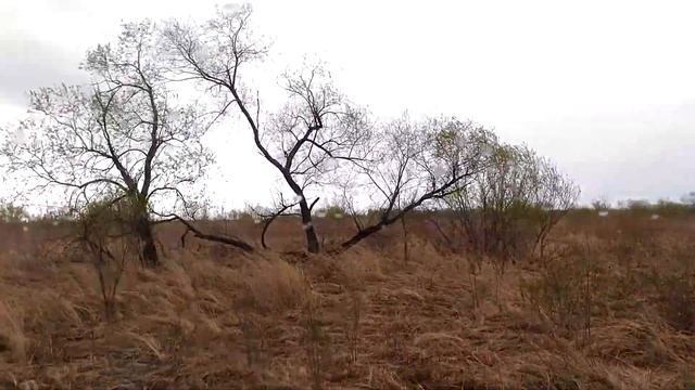 V 20180512 143309 смотреть онлайн