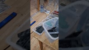 1000028539.mp4 (Собака наблюдает за устройством плоскости каркаса в ванной комнате дома А-фрейм)