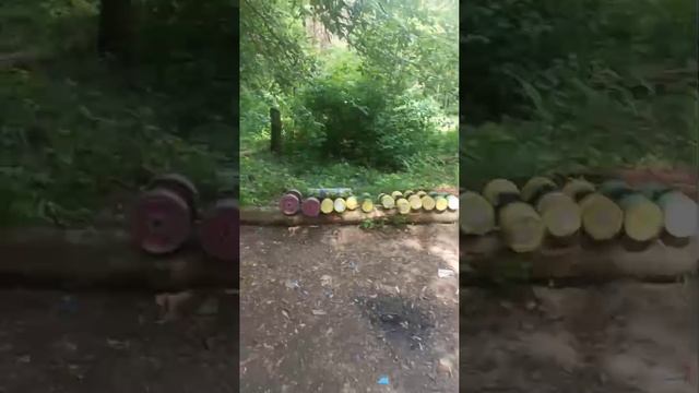 спортивная площадка в лесу