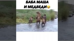 Приколы с животными и не только
