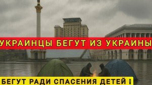 УКРАИНСКИЕ ПАТРИОТЫ БЕГУТ ИЗ УКРАИНЫ И ВЫВОЗЯТ ДЕТЕЙ ❗ ПЕРСПЕКТИВ У ЭТОЙ СТРАНЫ НЕТ ❗
