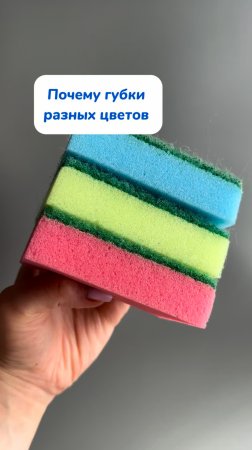 Почему губки бывают разных цветов? 🧽