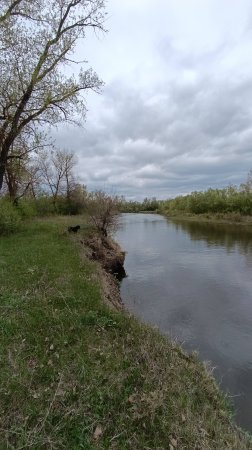 Что может быть интересного на берегу реки