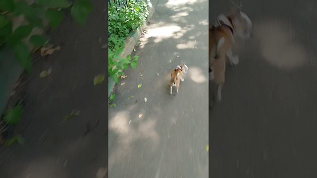 Любимчик Сеня❤️