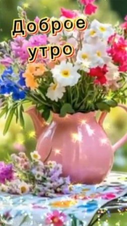 Доброе утро!) Замечательного дня!) #доброеутро