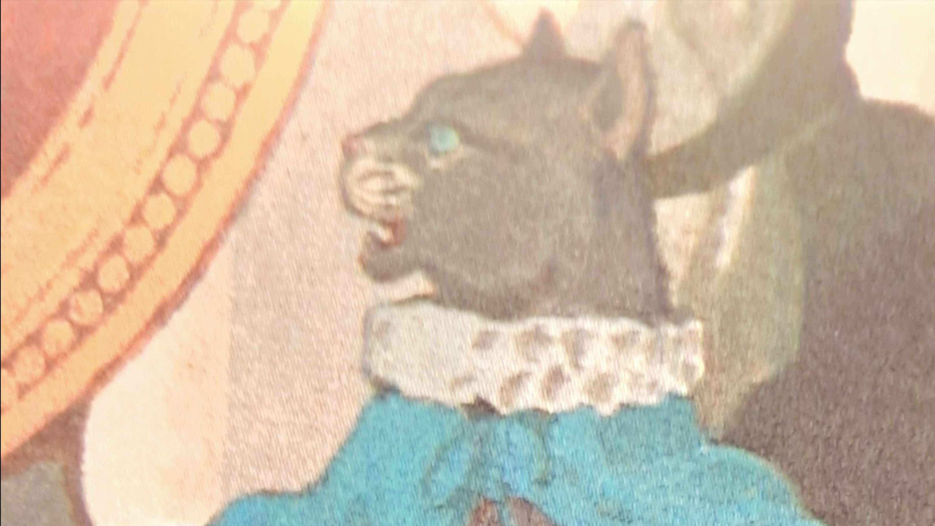 Аудиосказка Кот в сапогах Шарль Перро пересказ смотреть онлайн