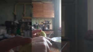 компот