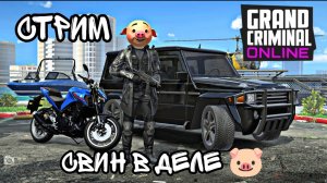 Grand Criminal Online - СВИН В ДЕЛЕ 🐷 СТРИМ 🔥
