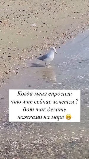 Сейчас бы ножками. 👣