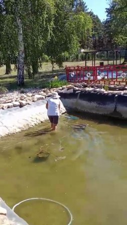 Ловись, рыбка, большая и ...