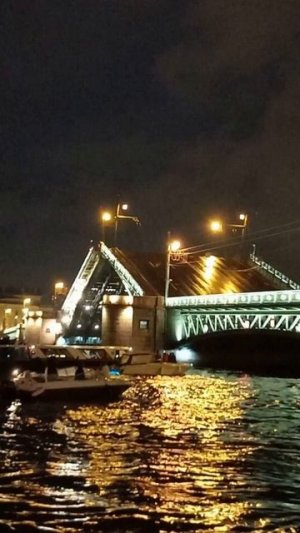 Визитка Питера - разводные мосты!!!