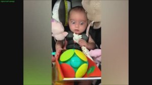 Юмор, смешные видео смотри и наслаждайся