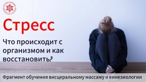 Стресс. Что происходит с организмом и как восстановить? Фрагмент обучения