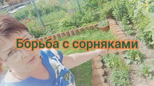 БЕСПОЩАДНАЯ ЛИКВИДАЦИЯ СОРНЯКОВ-4 прополки.