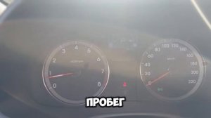 petal_20250707_213558.mp4