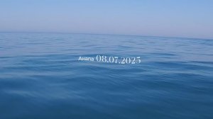 Сап Дельфины Анапа 08.07.2025