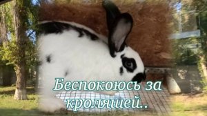 Переживаю...