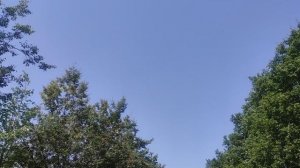 магический  🌞 прогноз погоды от волшебника 8 июля... не купайтесь в пьяном виде...