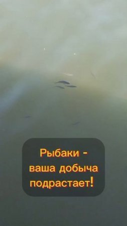 30.06.25 рыбалка