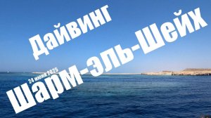 Дайвинг