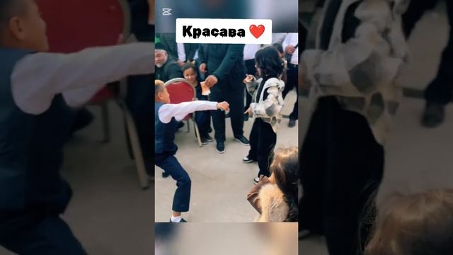 Приколы с животными и не только