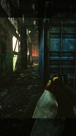 Побег Из Таркова EscapeFromTarkov за дикого стреляю в диких