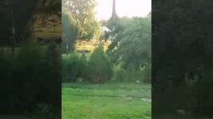 Цвет белый