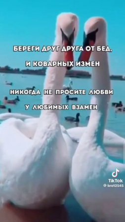 С днём семьи,любви и верности 2025