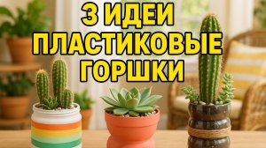 3 креативные идеи с пластиковыми горшками: мини-сады для кактусов!