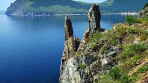 Подводные ландшафты залива Петра Великого Дальневосточный заповедник
Лесной дневник