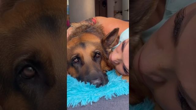 Карточка видео