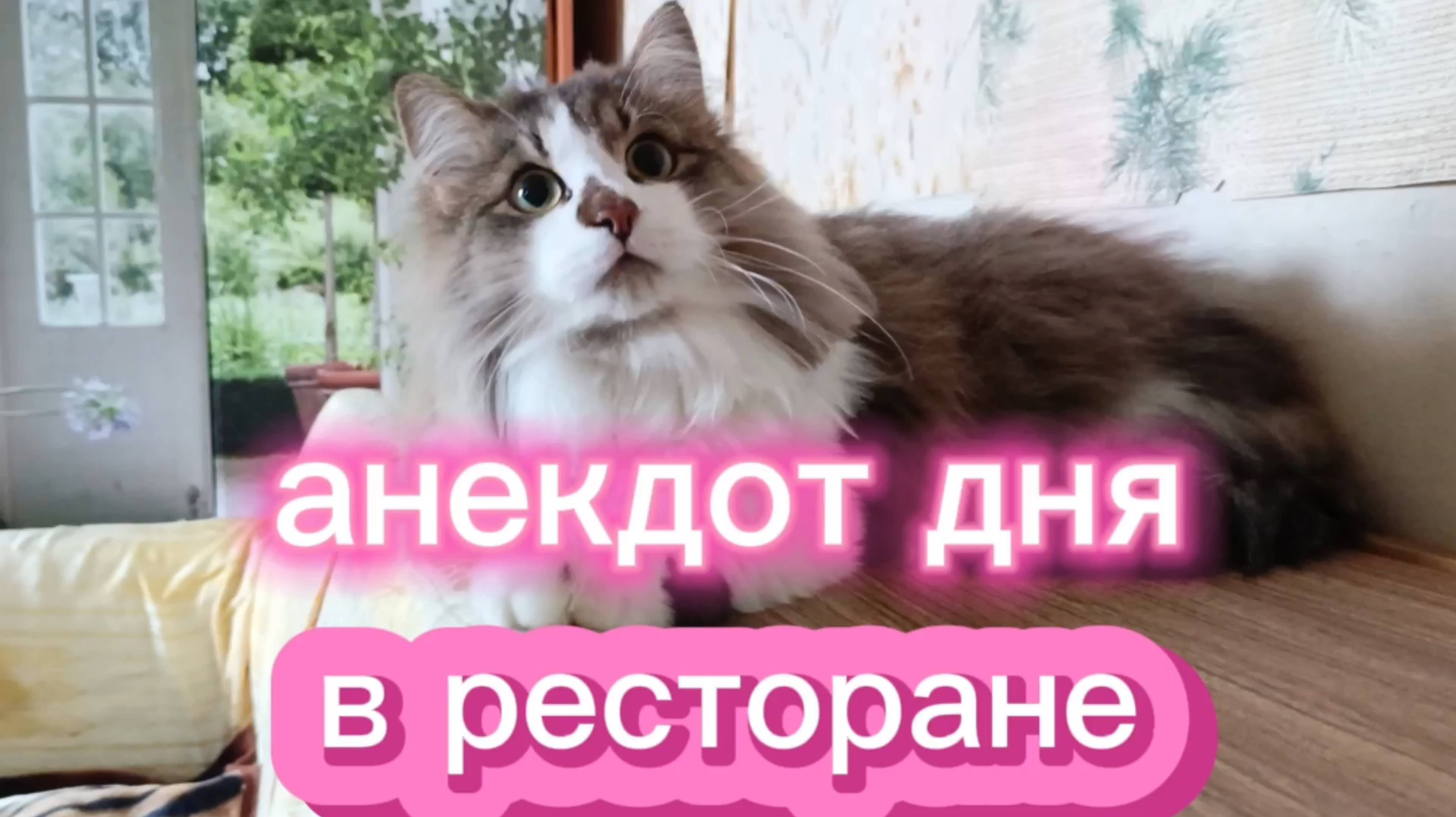 Анекдот дня.
