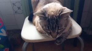 8 июля 2025. С днём любви, семьи и верности!