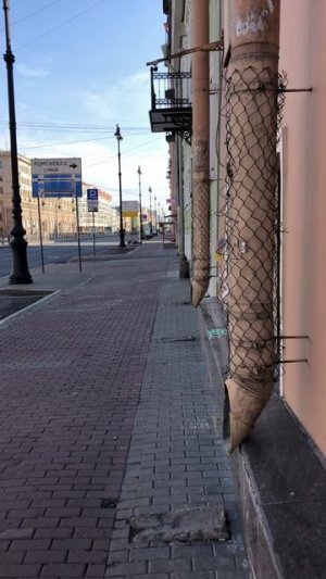 Вопрос знатокам из Санкт-Петербурга #shorts