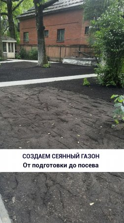 Создаем сеянный газон!