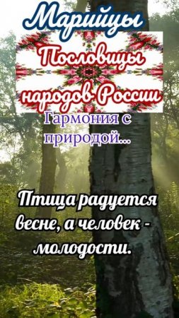 Пословицы