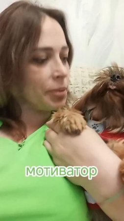 мотиватор.mp4